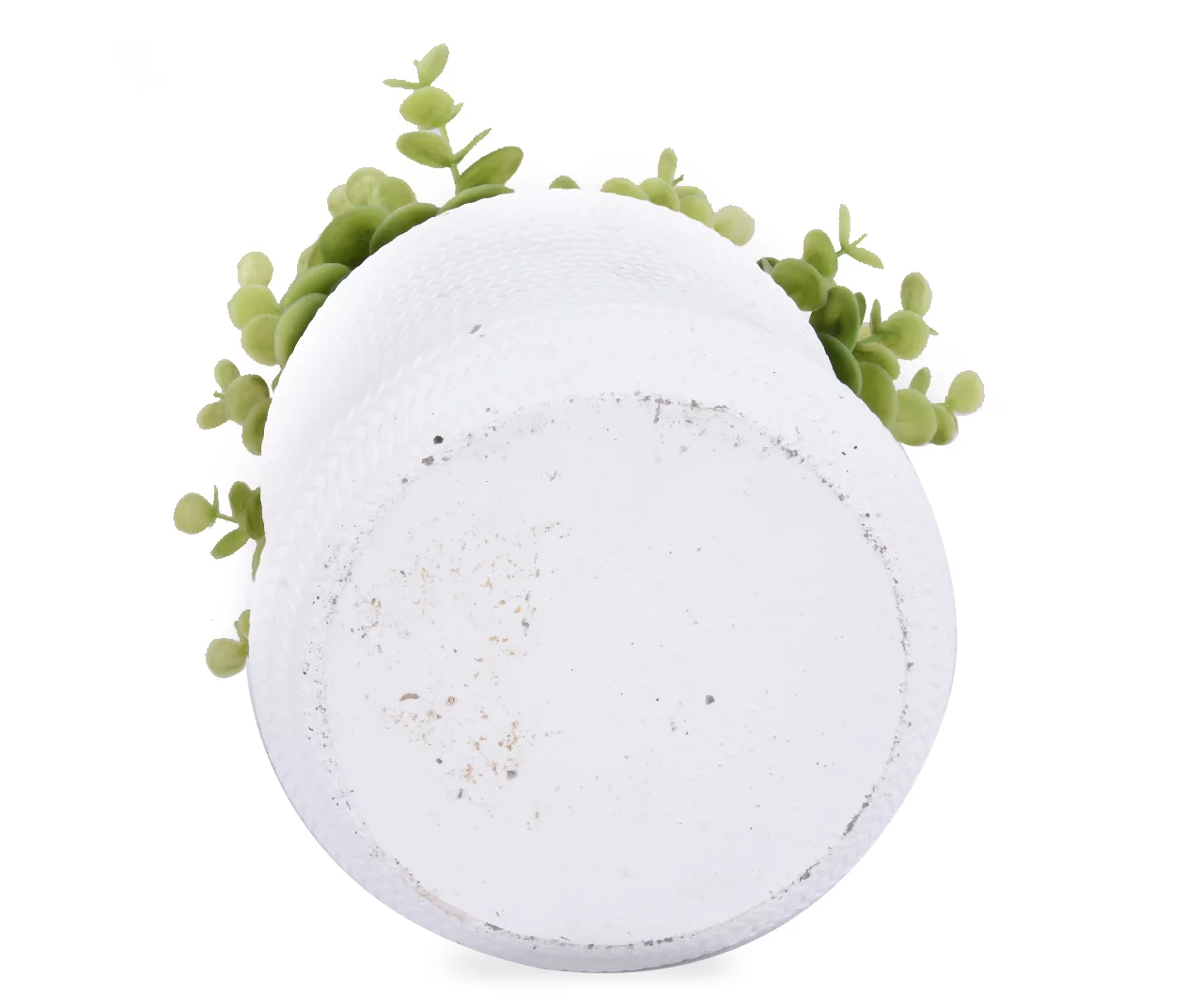 Boxwood Plant In White Cement Pot - Image 3