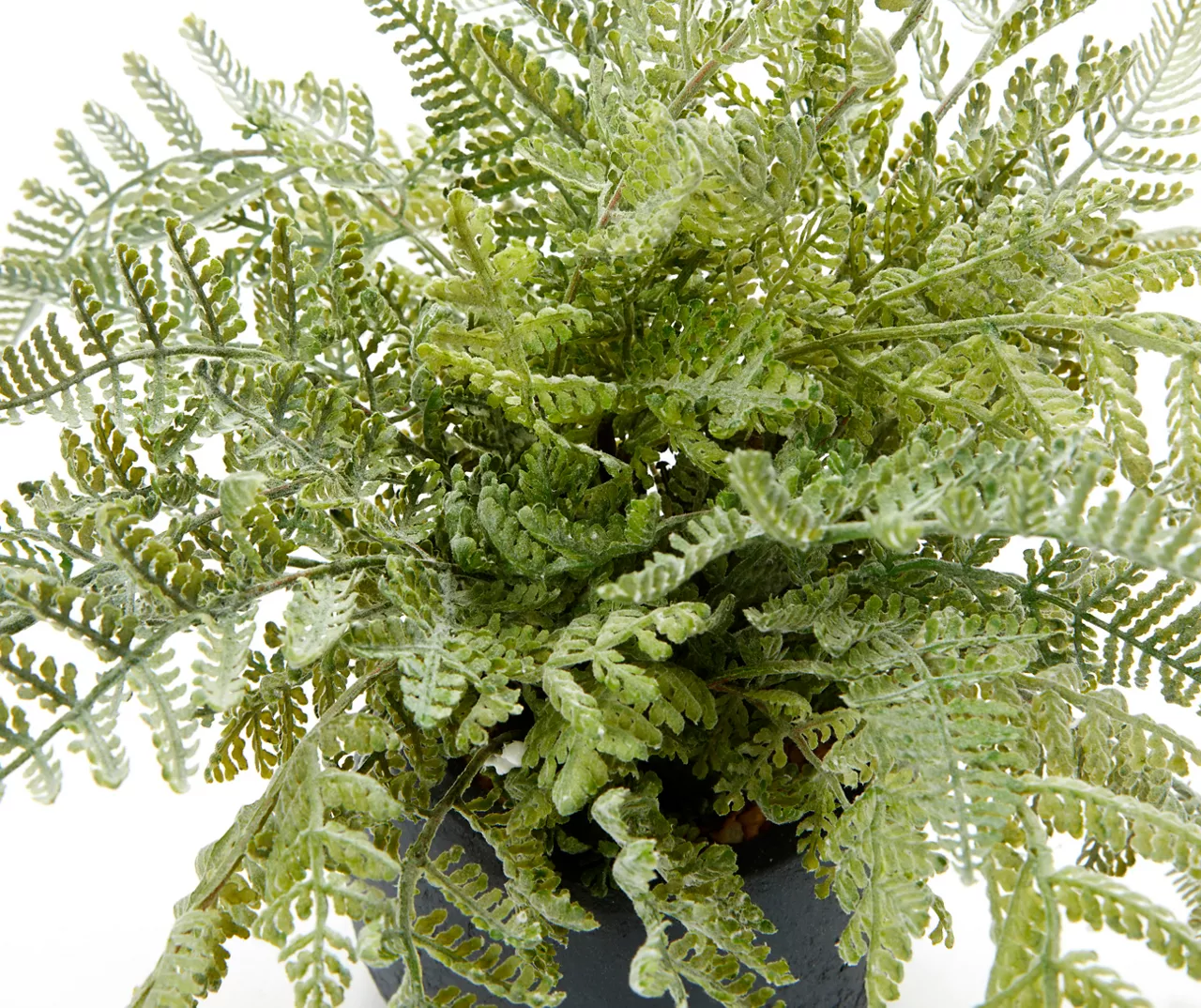 11" Green Artificial Fern In Black Round Pot - Image 2