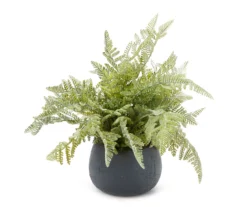 11" Green Artificial Fern In Black Round Pot