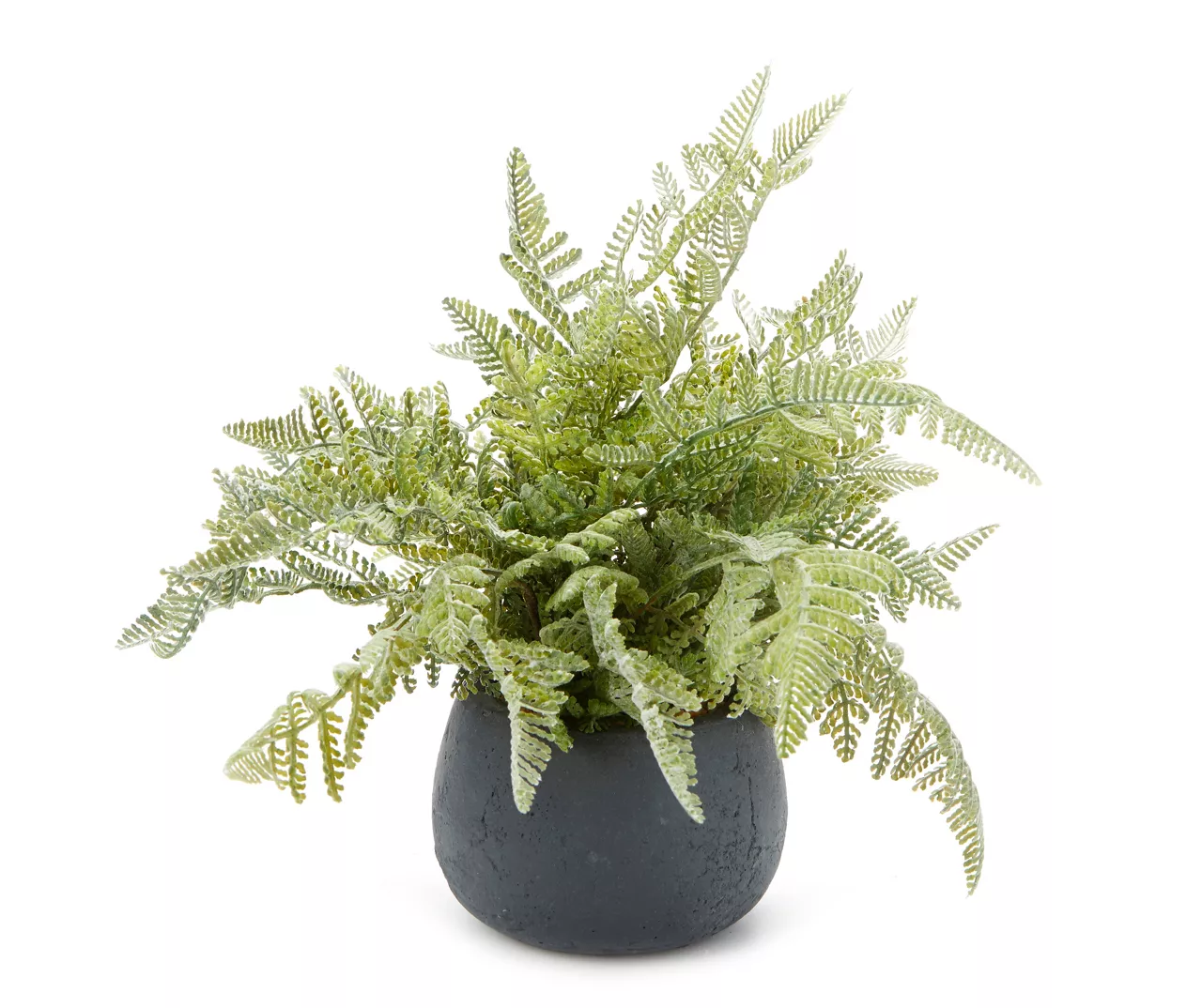11" Green Artificial Fern In Black Round Pot