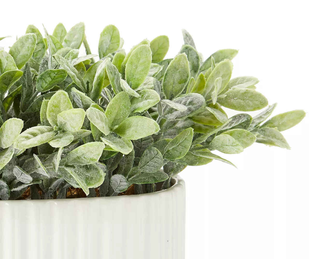 Green Leafy Plant In White Ripple Oval Ceramic Pot - Image 2