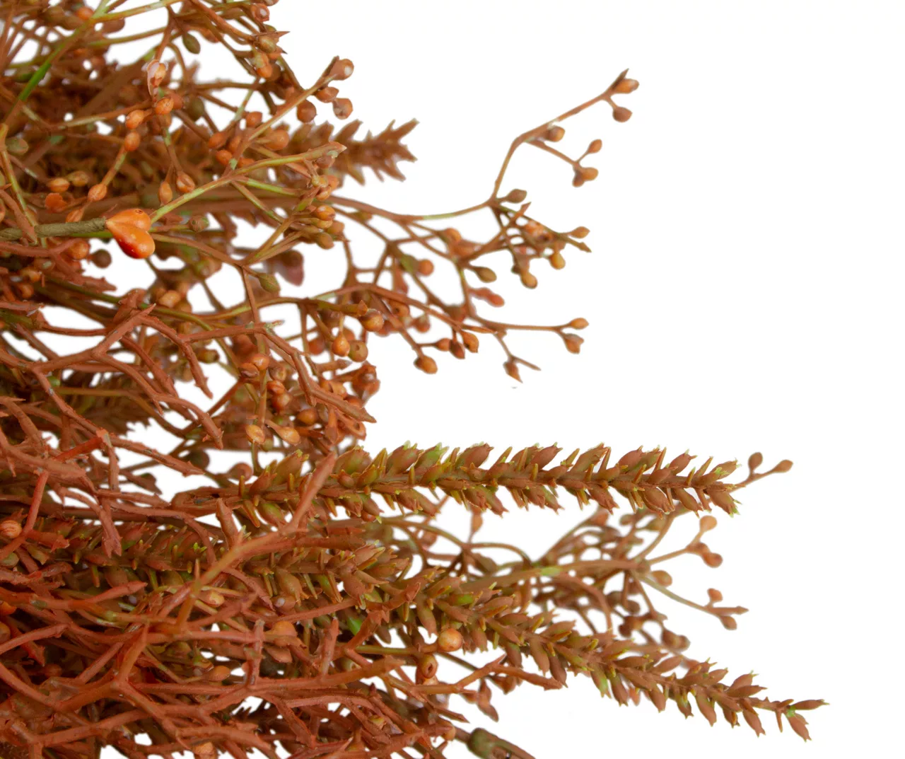 32" Grass, Leaves & Floral Wreath - Image 3