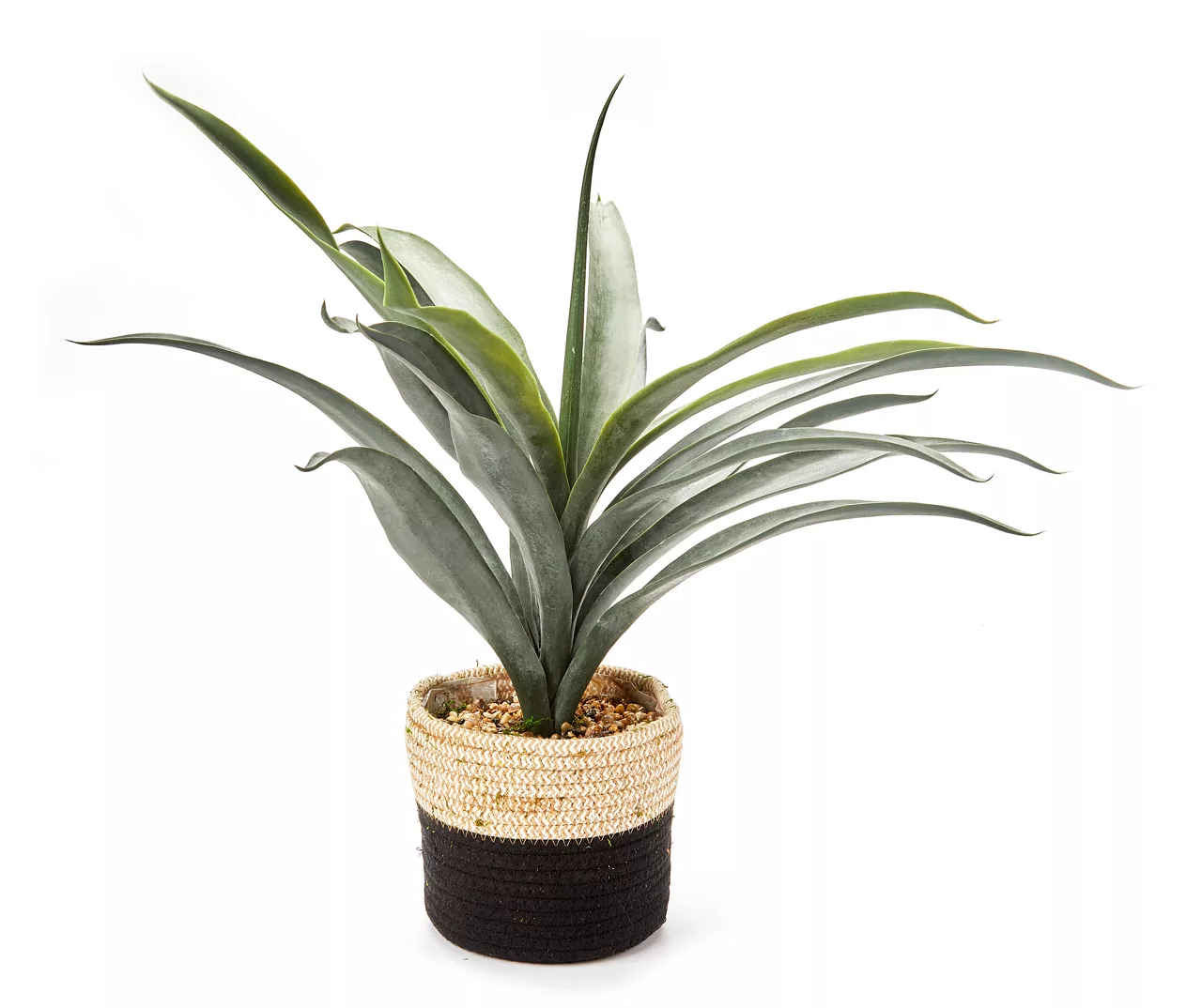 20.5" Tigridia In White & Black Woven Flax Basket