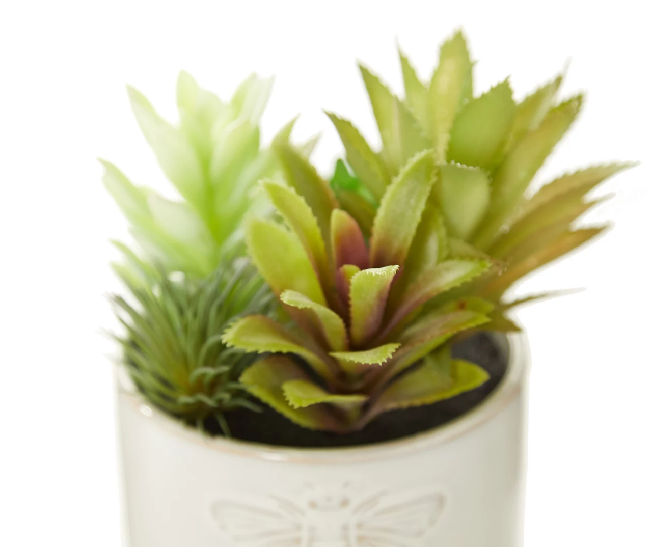 Bee KindĀ Succulents In White Embossed Ceramic Pot - Image 2