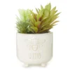 Bee Kind Succulents In White Embossed Ceramic Pot