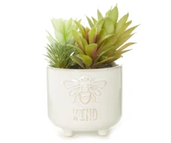 Bee Kind Succulents In White Embossed Ceramic Pot
