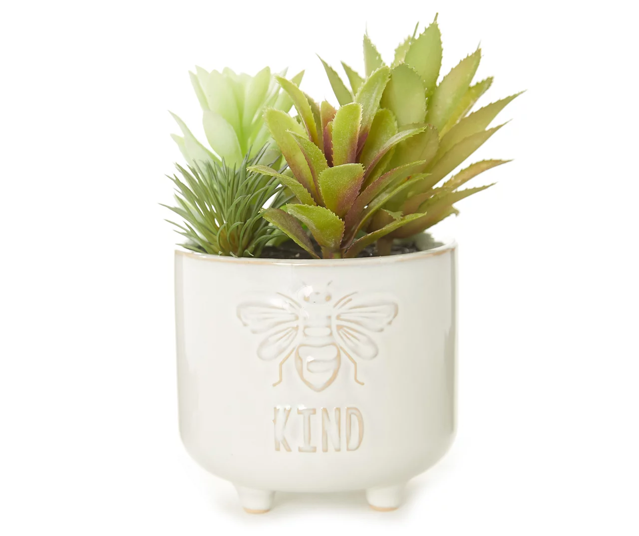 Bee KindĀ Succulents In White Embossed Ceramic Pot