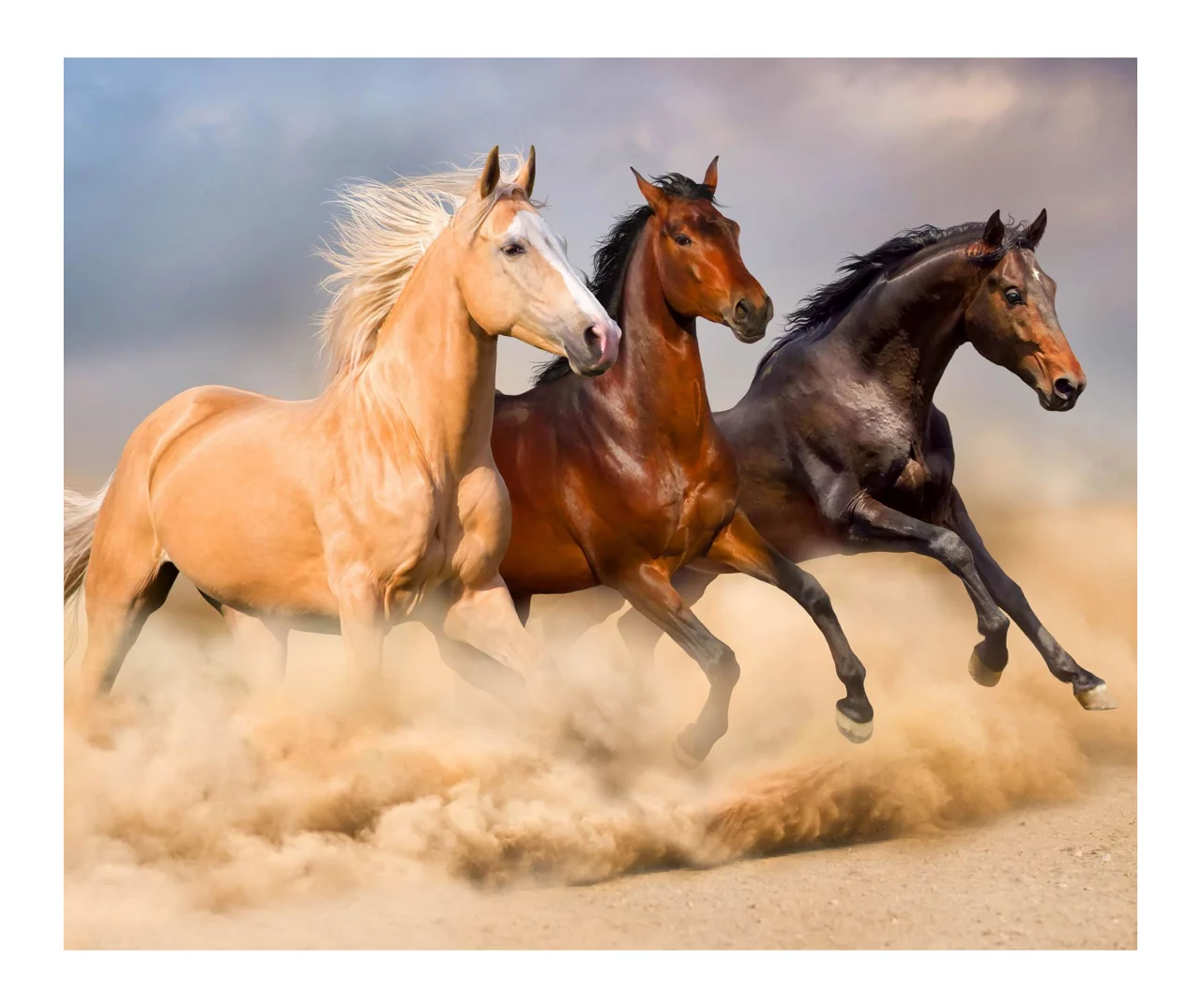 Brown & Tan Horses Raschel Throw, (50" X 60")