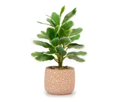 Artificial Succulent In White Dot & Terra-Cotta Cement Pot