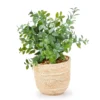 Green Artificial Leafy Plant Arrangement With Brown Woven Pot