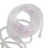 Northlight 12' Pink Solar Rope Light