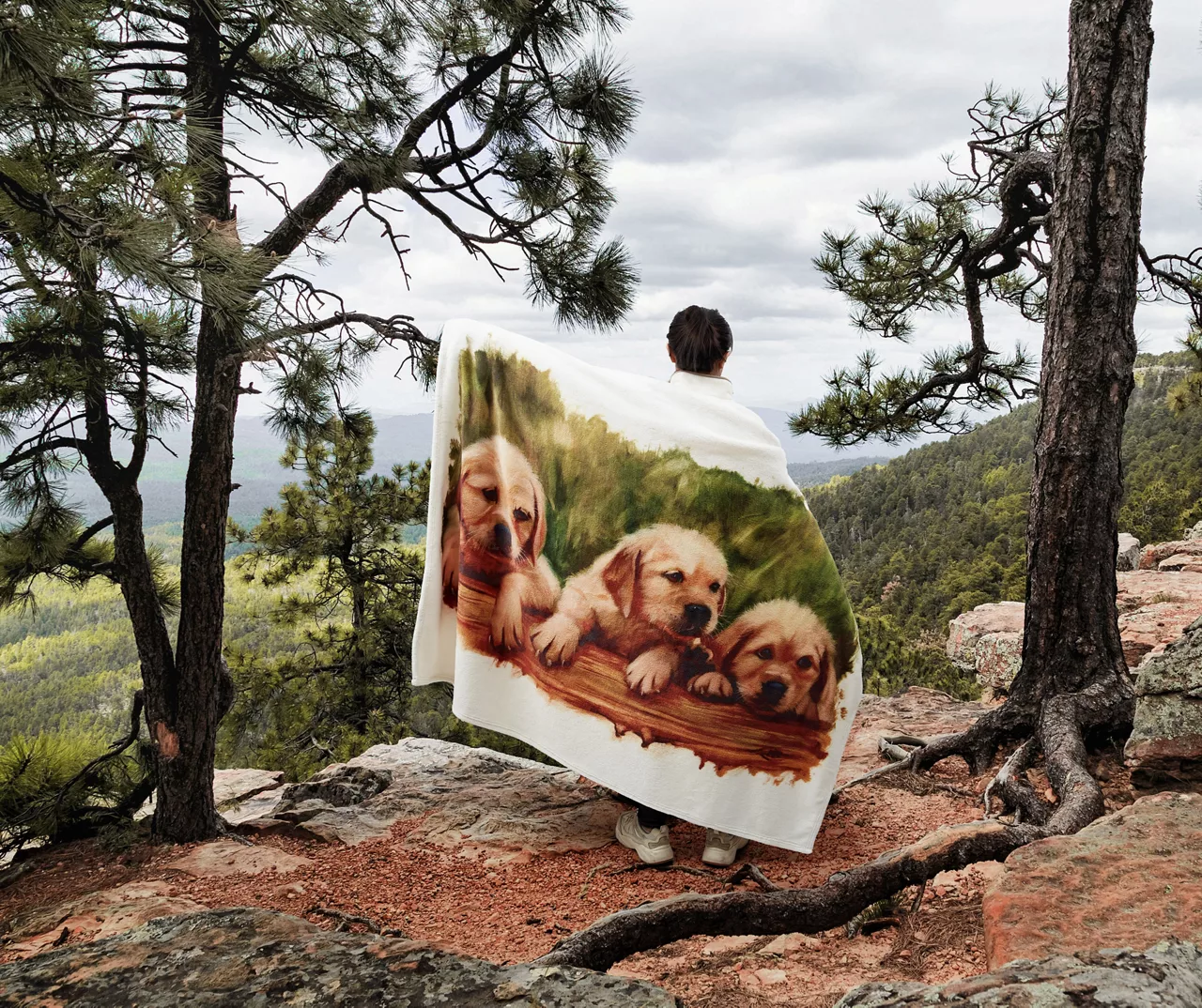 Brown Puppy Love Fleece Raschel Throw, (50" X 60") - Image 3