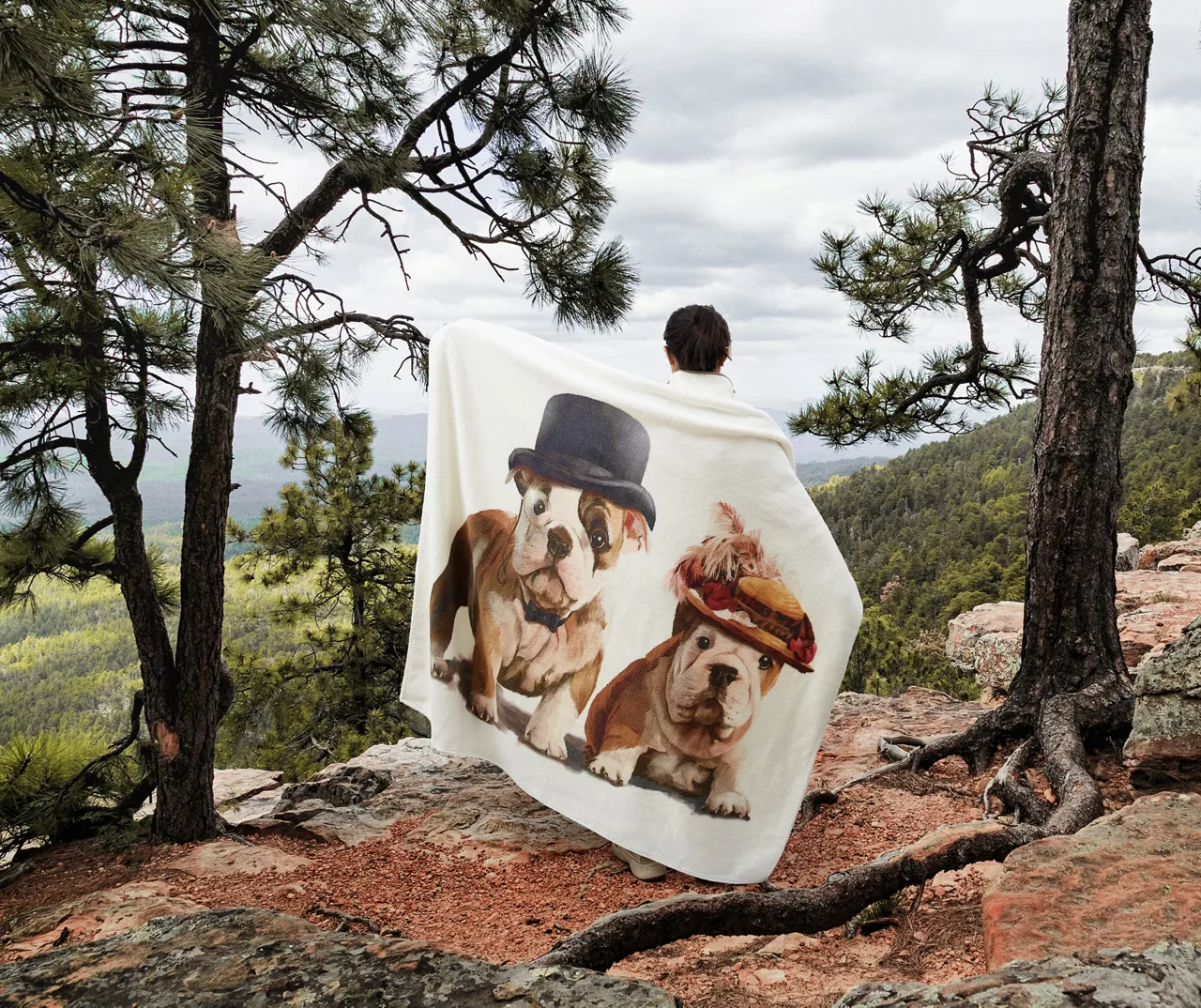 Brown & White Bulldog Couple Fleece Raschel Throw, (50" X 60") - Image 3