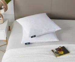 White Medium-Firm Cotton-Feather Square Pillow, 2-Pack